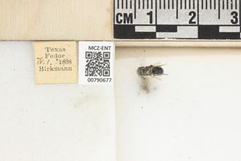 Media type: image;   Entomology 790677 Aspect: Labels